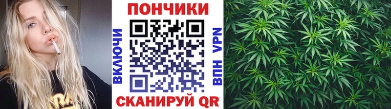 МЕГА ONION  Качканар  Каннабис тримм 